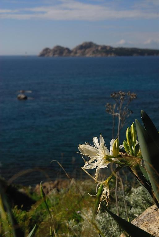 La Chicca Di Francesca Bed & Breakfast Santa Teresa Gallura Exterior photo